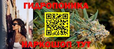 СК Краснодар