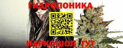 СК Краснодар