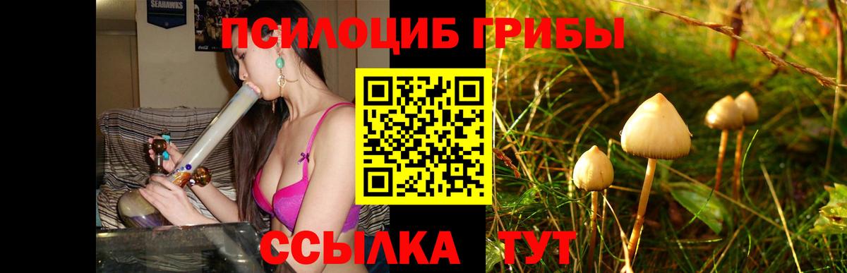Новомосковск  Псилоцибиновые грибы мицелий  Вход с VPN 