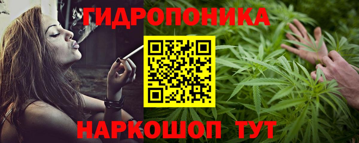 Конопля семена Новомосковск